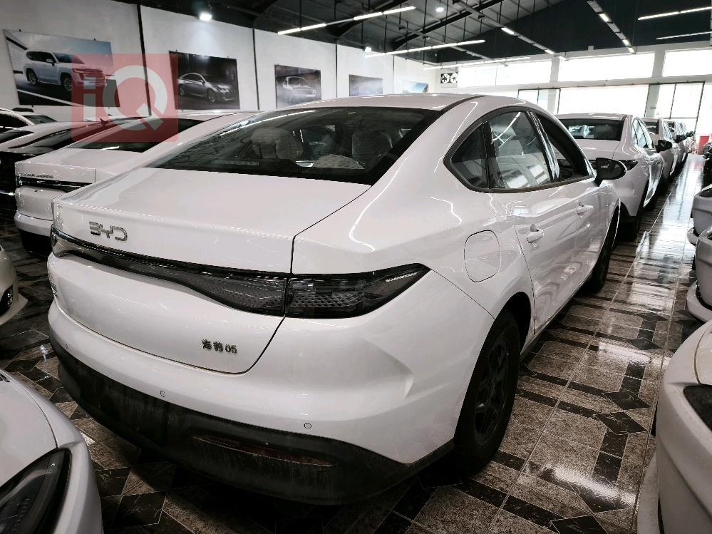 بي واي دي سيل 05 DM-i